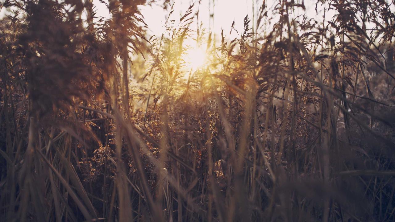 开运体育介绍 - 开运体育app入口 官网 下载